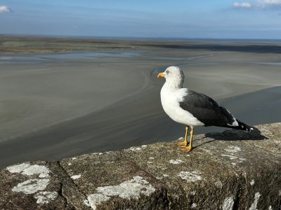 48.63597222222222,-1.51214166666667