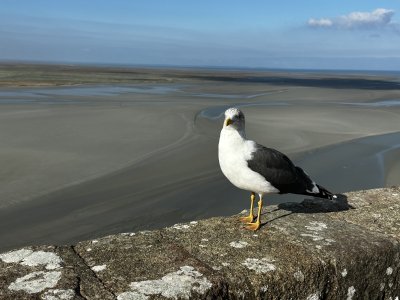 48.63596666666667,-1.51214722222222