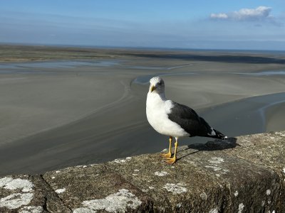 48.63596666666667,-1.51214444444444