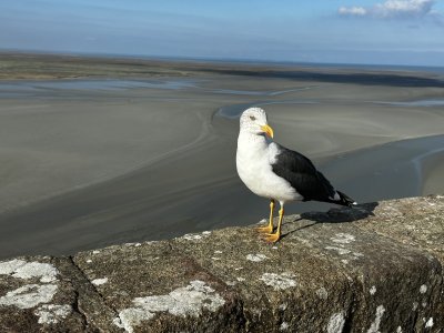 48.63596666666667,-1.51214722222222