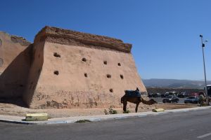 Agadir Oufella et Centre - Photo 4