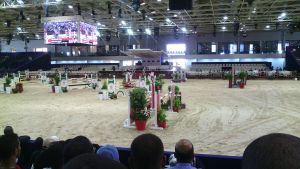 Salon du Cheval d'Al Jadida 2015 - Photo 10