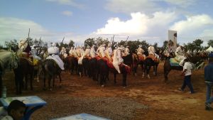 Salon du Cheval d'Al Jadida 2015 - Casablanca-Settat