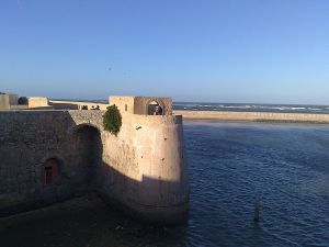 Al Jadida - Photo 2