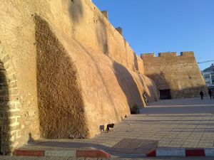 Al Jadida - Photo 11