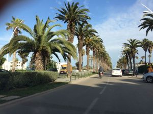 Al Jadida - Photo 35