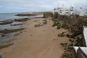 Assilah (04/2017) - Photo 17