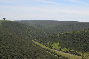 Barrage de Rouidate - Photo 1