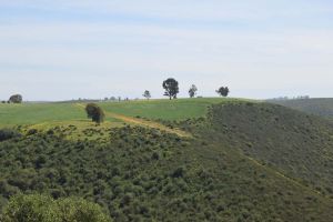 Barrage de Rouidate - Photo 2