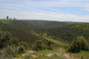 Barrage de Rouidate - Photo 4