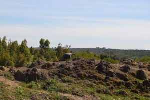 Barrage de Rouidate - Photo 19