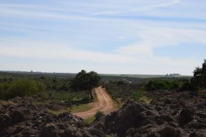 Barrage de Rouidate - Photo 20