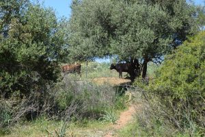 Barrage de Rouidate - Photo 22