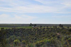 Barrage de Rouidate - Photo 23