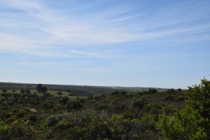 Barrage de Rouidate - Photo 25