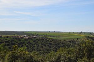 Barrage de Rouidate - Photo 26