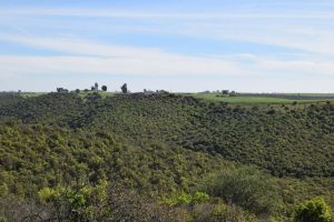 Barrage de Rouidate - Photo 27