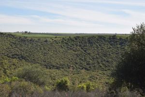 Barrage de Rouidate - Photo 28