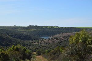 Barrage de Rouidate - Photo 30