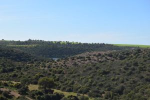 Barrage de Rouidate - Photo 31