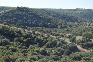 Barrage de Rouidate - Photo 32