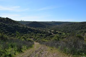 Barrage de Rouidate - Photo 35