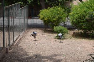 La Vallée des oiseaux - Photo 9