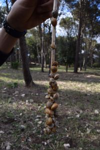 Forêt de Bouskoura - Photo 27