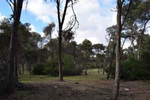 Forêt de Bouskoura - Photo 32