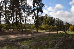 Forêt de Bouskoura - Photo 45