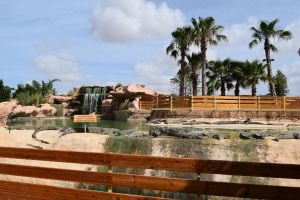 Crocoparc d'Agadir - Photo 13