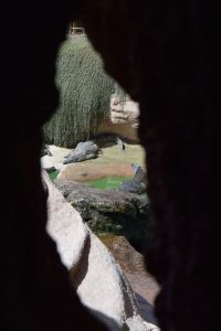 Crocoparc d'Agadir - Photo 26
