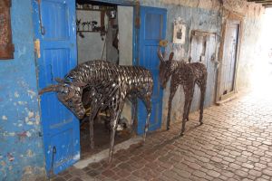 Essaouira - Centre - Photo 27