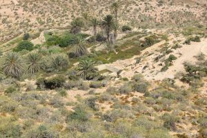 Panorama d'Imsouane - Photo 11