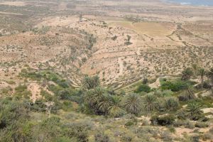 Panorama d'Imsouane - Photo 13