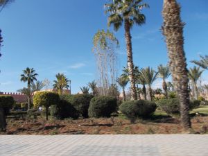Jardin Arsat Moulay Abdessalam - Photo 0