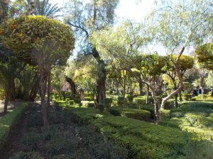 Jardin Arsat Moulay Abdessalam - Photo 2