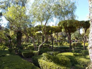 Jardin Arsat Moulay Abdessalam - Marrakech-Safi