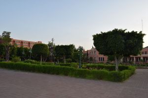 Le Jardin des Arts de Marrakech - Photo 7