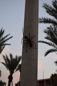 Le Jardin des Arts de Marrakech - Photo 11