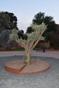 Le Jardin des Arts de Marrakech - Photo 18