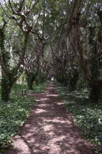 Jardin d'essais botanique de Rabat - Photo 0