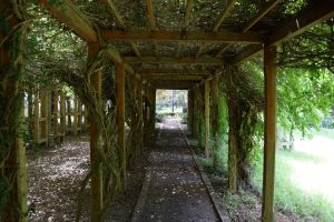 Jardin d'essais botanique de Rabat - Photo 3