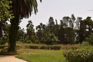 Jardin d'essais botanique de Rabat - Photo 16