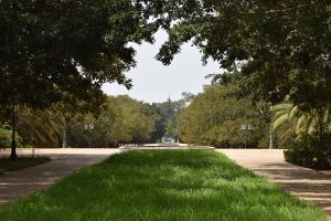 Jardin d'essais botanique de Rabat - Photo 20