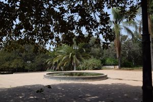 Jardin d'essais botanique de Rabat - Photo 30