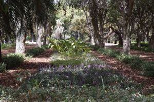 Jardin d'essais botanique de Rabat - Photo 34