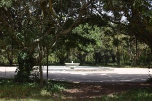 Jardin d'essais botanique de Rabat - Photo 37