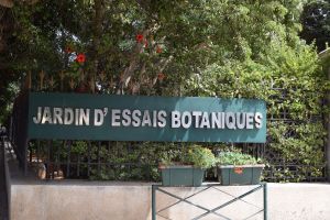 Jardin d'essais botanique de Rabat - Photo 42