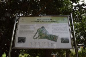 Jardin d'essais botanique de Rabat - Photo 43